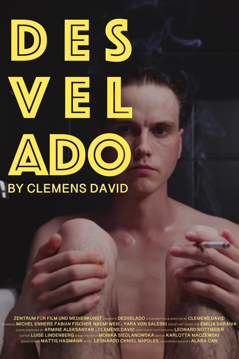 DESVELADO cover art
