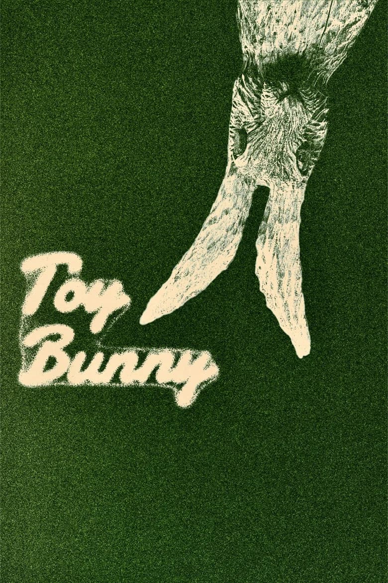 Toy Bunny cover art