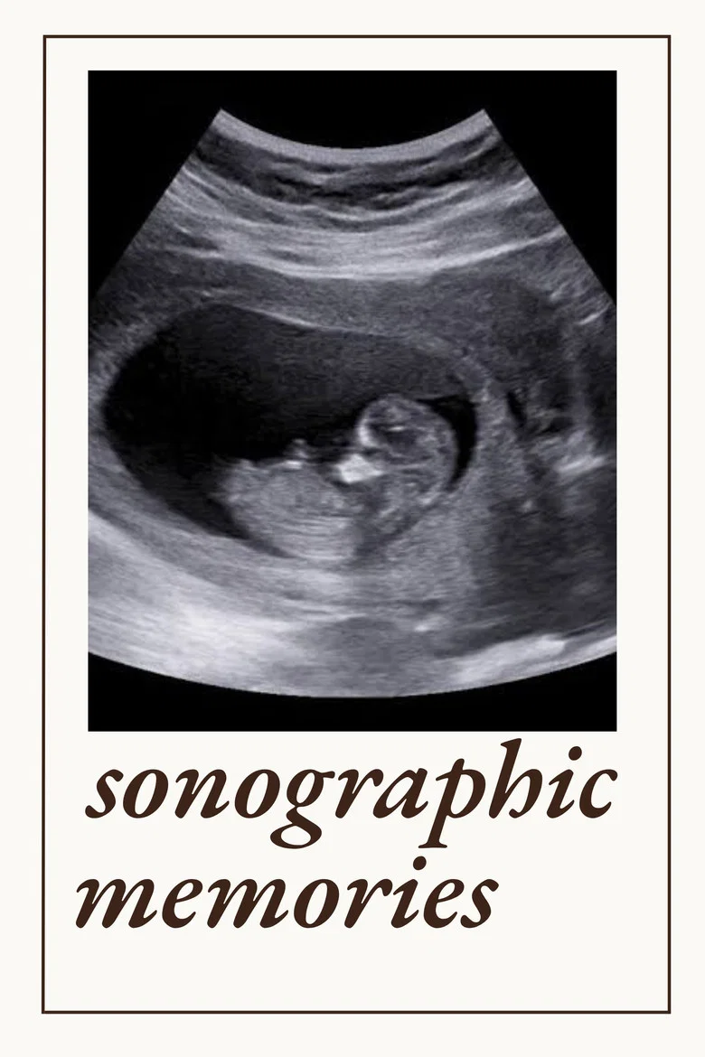 Sonographic Memories cover art