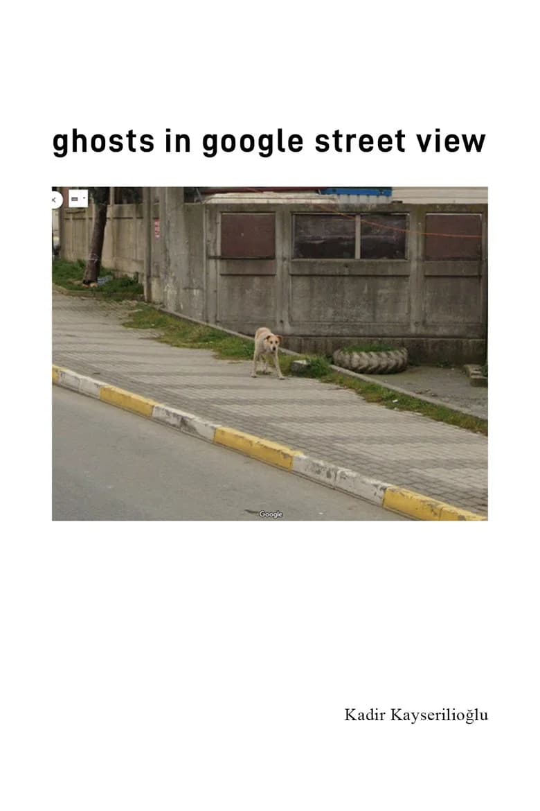 Ghosts In Google Street View cover art