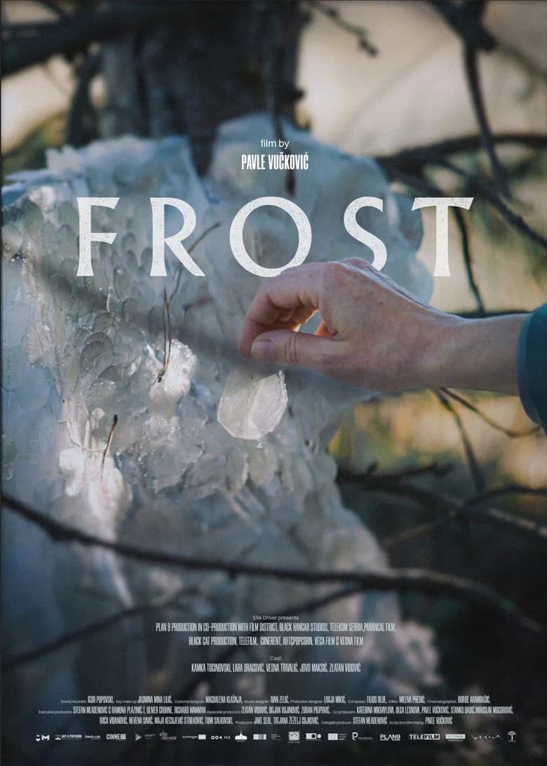 Frost cover art