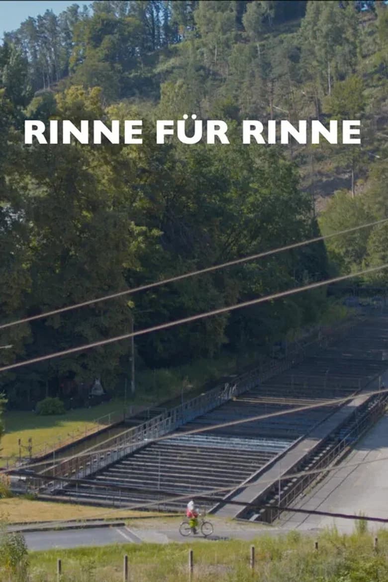 Rinne für Rinne cover art