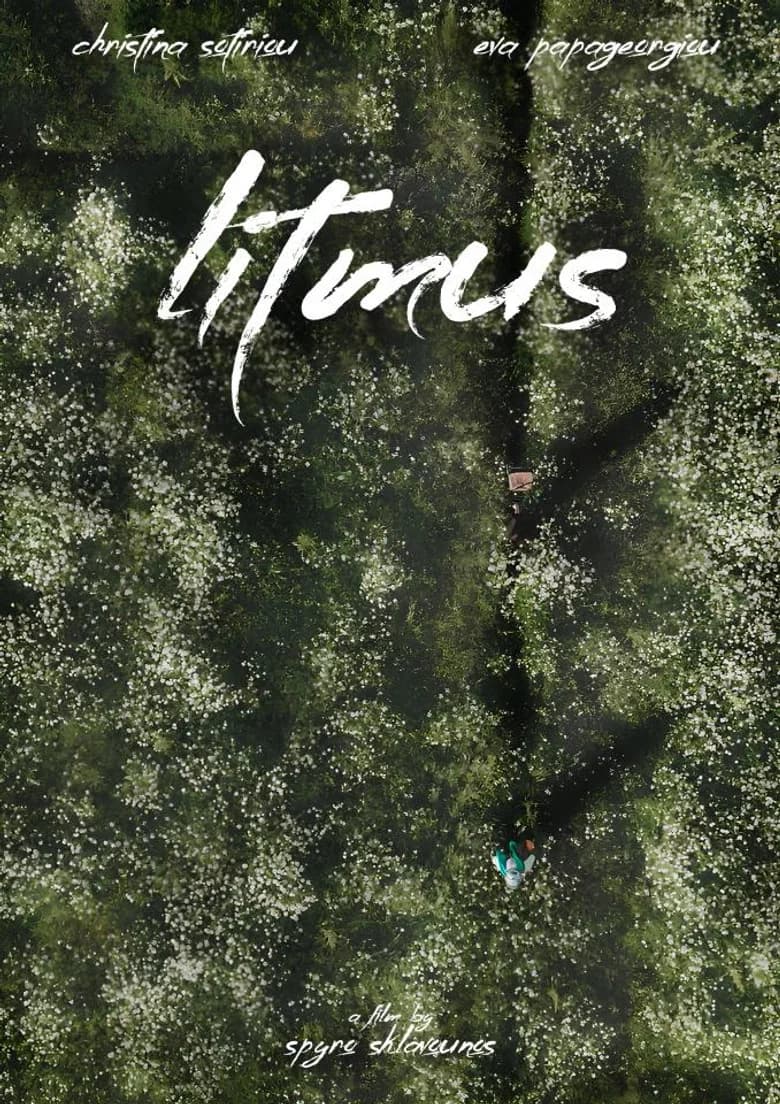Litmus cover art