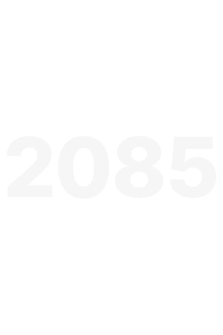 2085 cover art