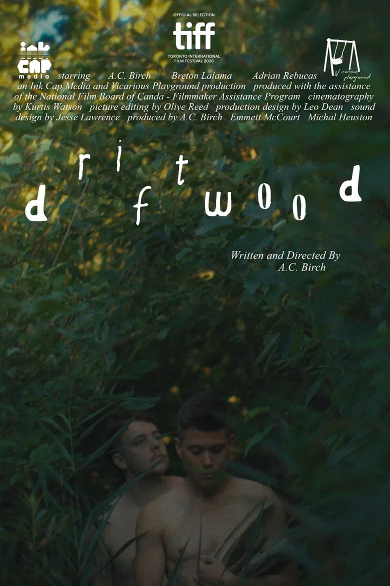 Driftwood cover art