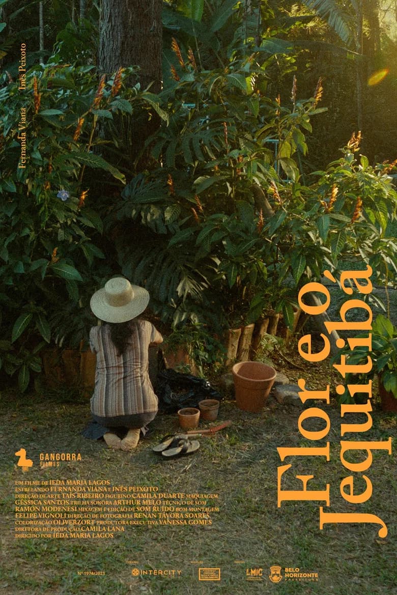 Flor e o Jequitibá cover art