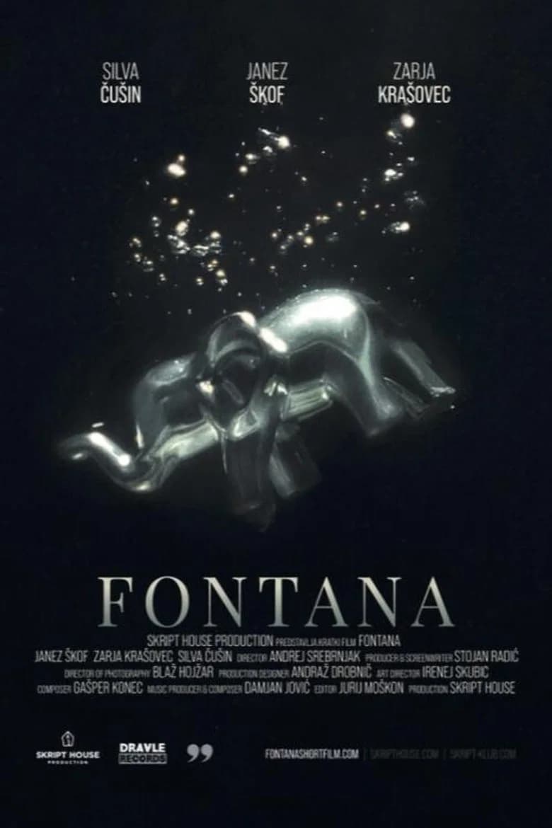 The Fountain cover art