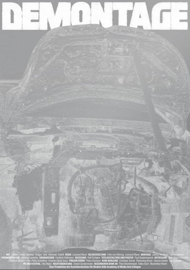 Demontage cover art