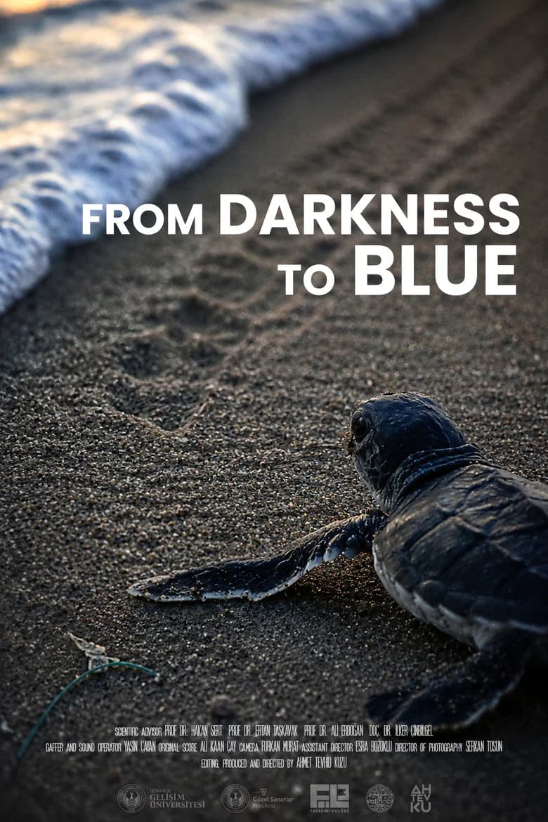 From Darkness to Blue cover art