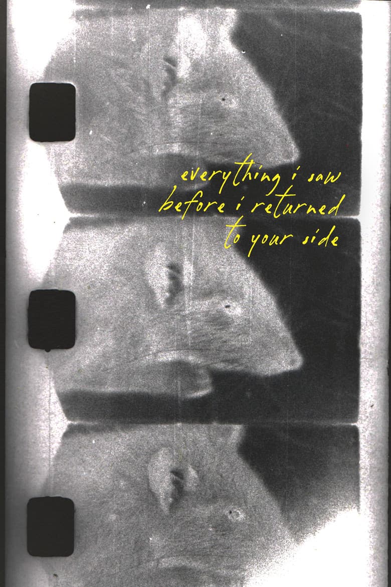 everything i saw before i returned to your side cover art