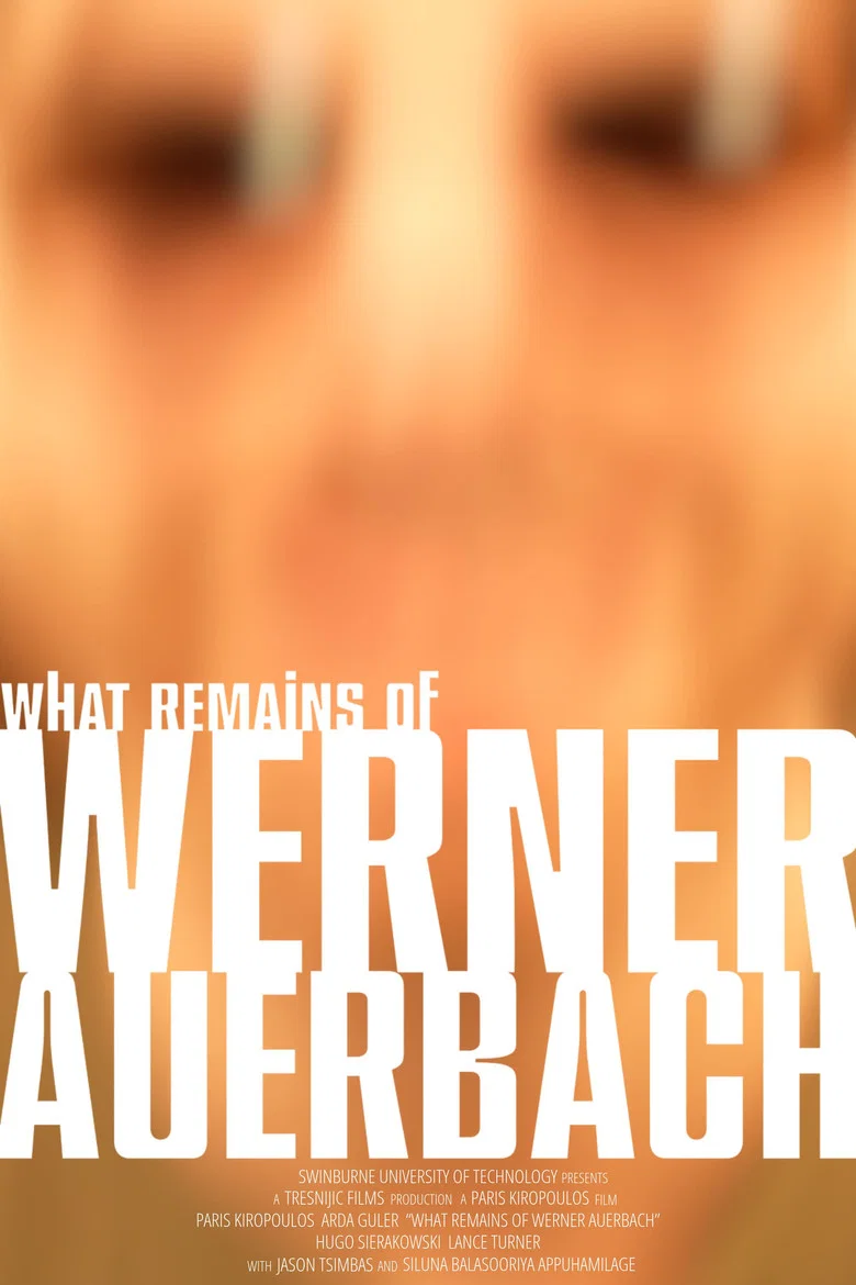 What Remains of Werner Auerbach cover art