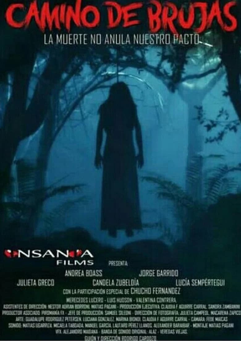Camino de Brujas cover art