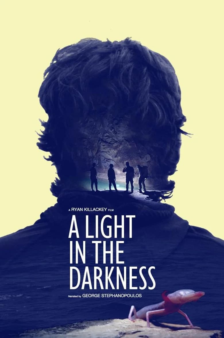 A Light in the Darkness cover art