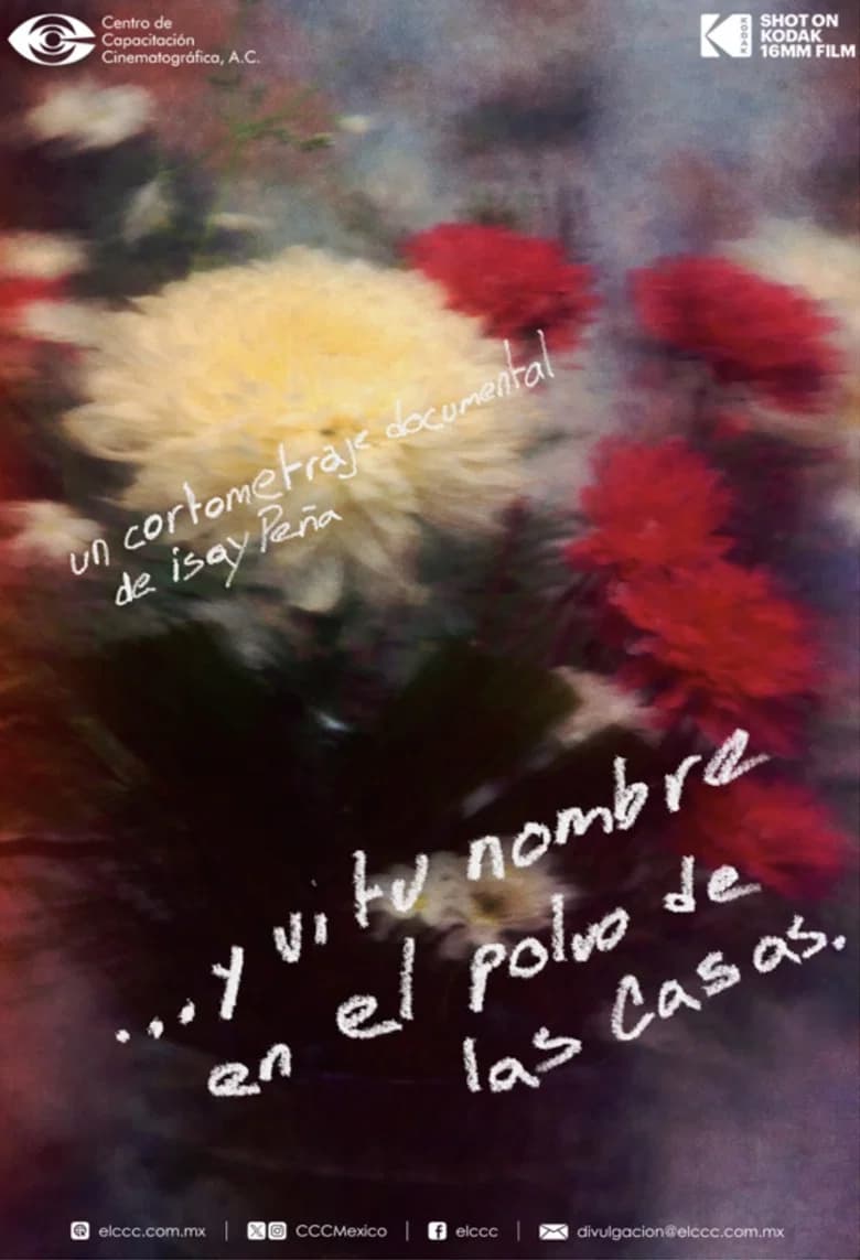 …And I Saw Your Name on the Dust of the Houses. cover art