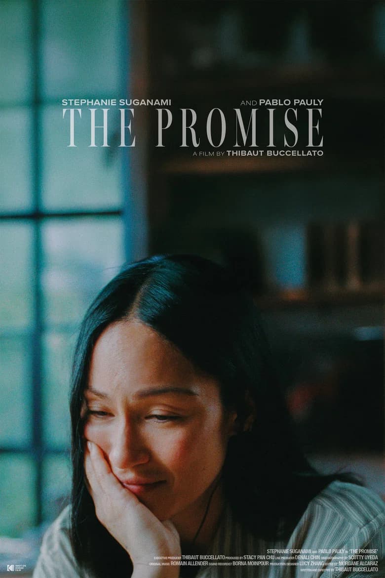The Promise cover art