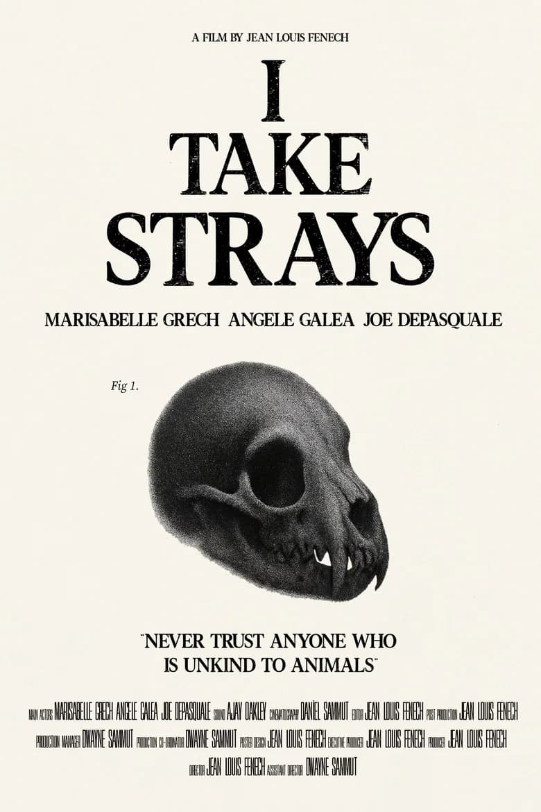 I TAKE STRAYS cover art