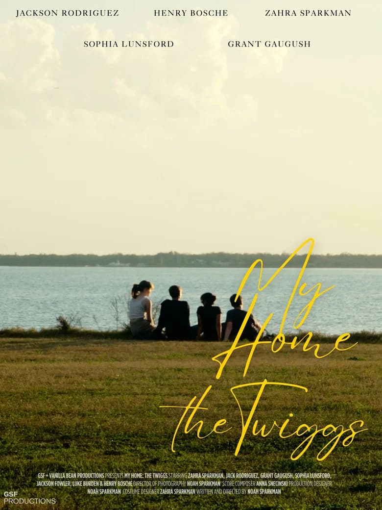 My Home: The Twiggs cover art