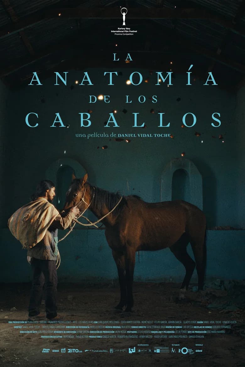 The Anatomy of the Horses cover art