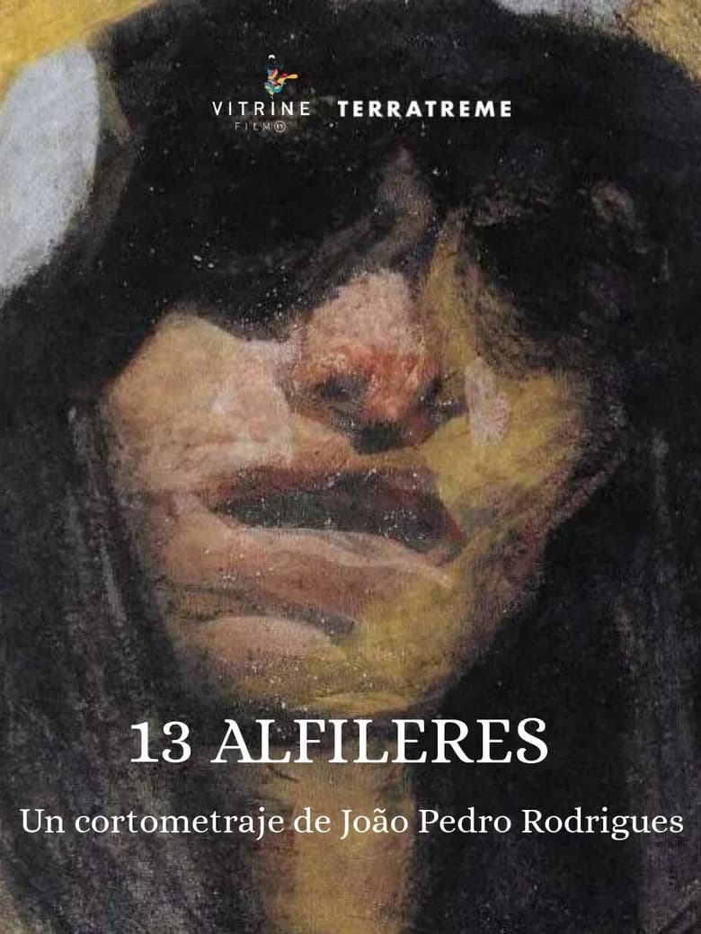 13 Alfinetes cover art