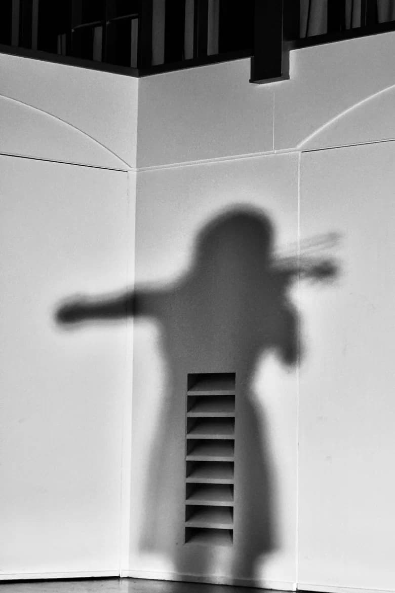 La Violinista cover art