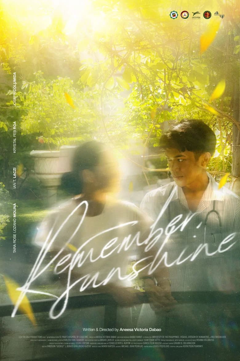 Remember, Sunshine cover art