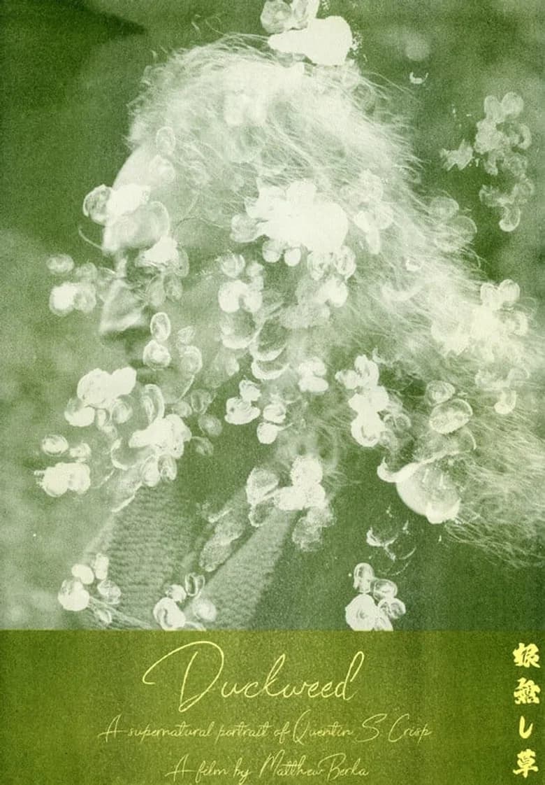 Duckweed cover art