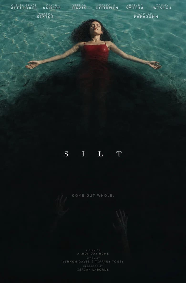Silt cover art