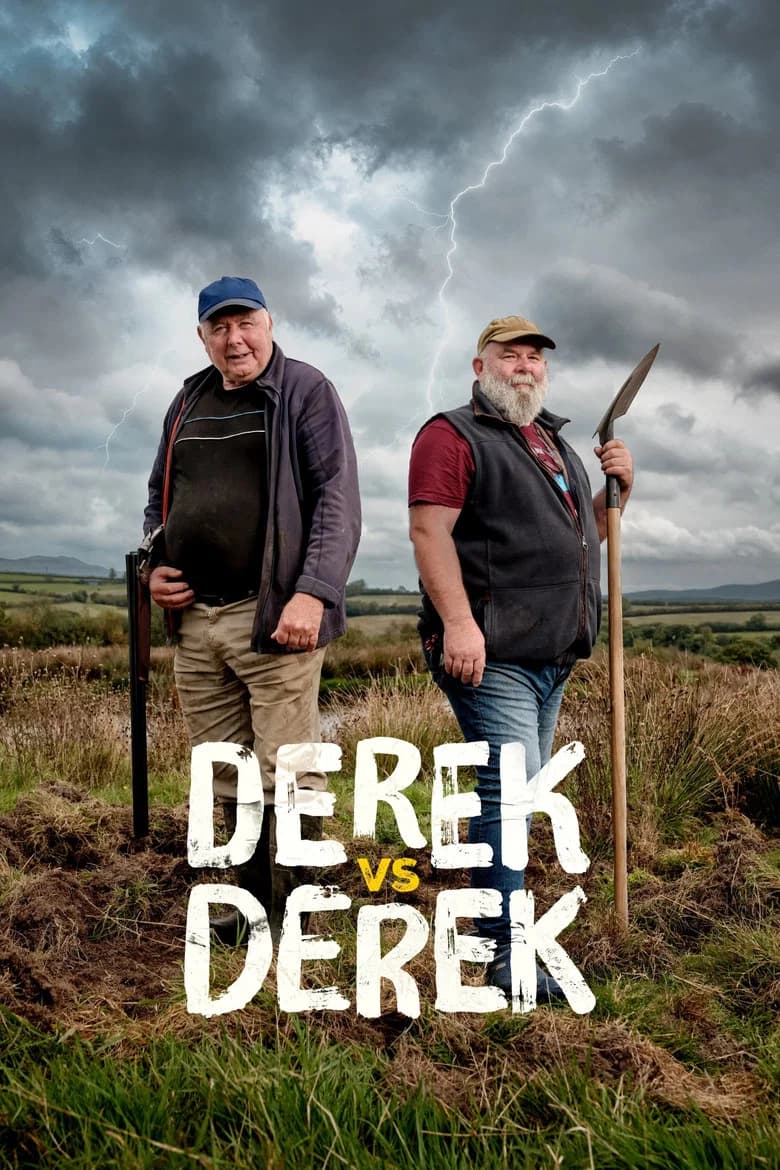 Derek vs Derek cover art