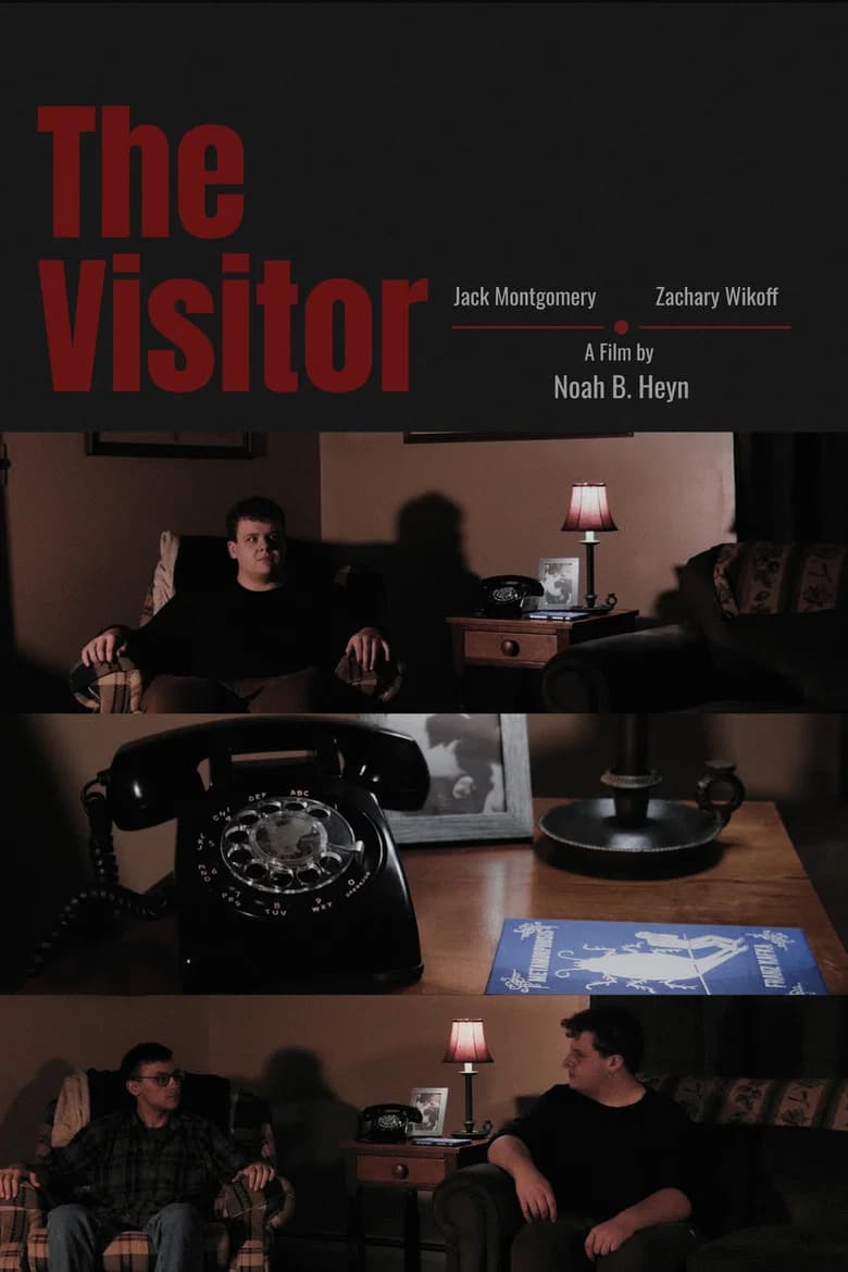 The Visitor cover art