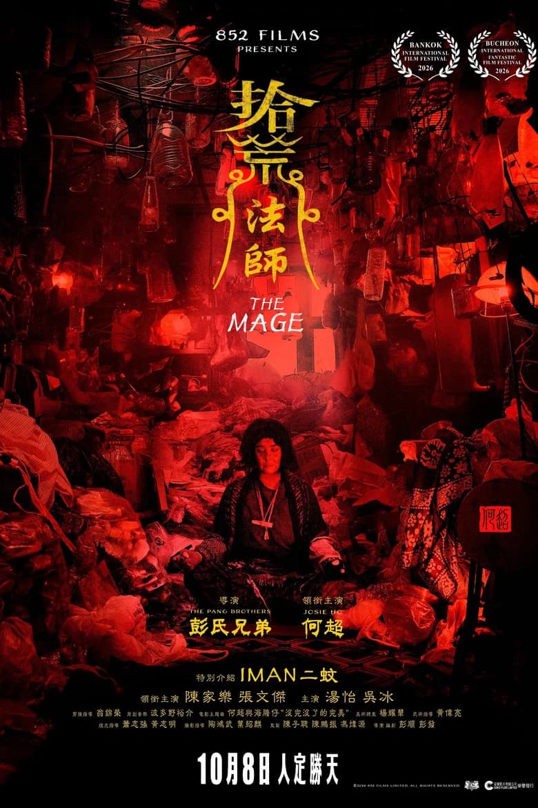 The Mage cover art