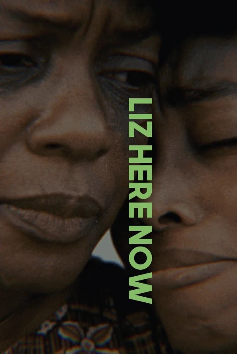 Liz Here Now cover art