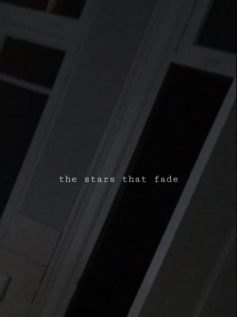 The Stars That Fade cover art