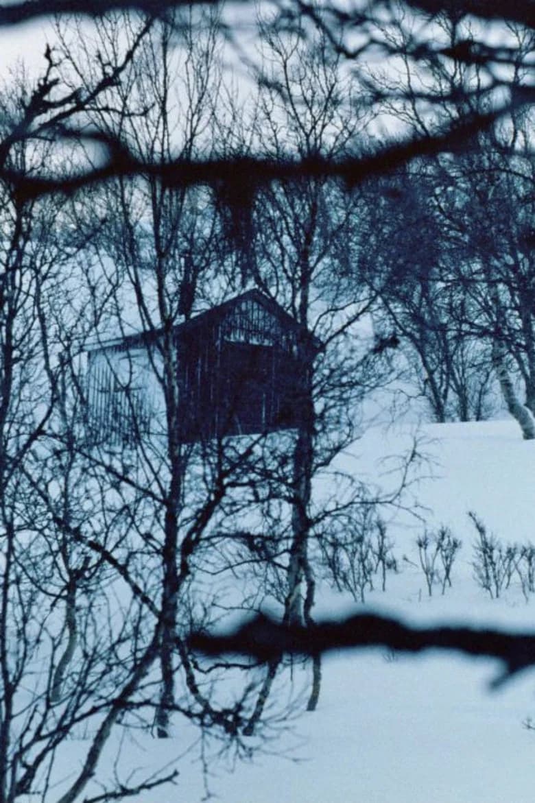 The Girl looking for the cabin cover art