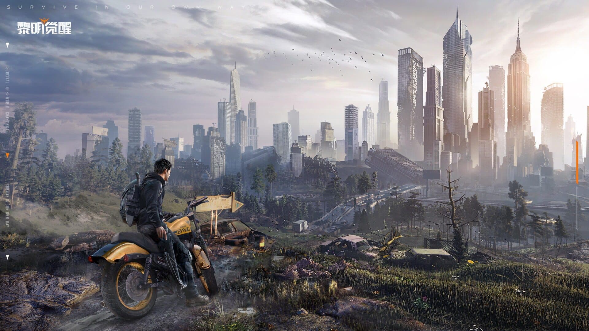 Dawn Awakening cover art