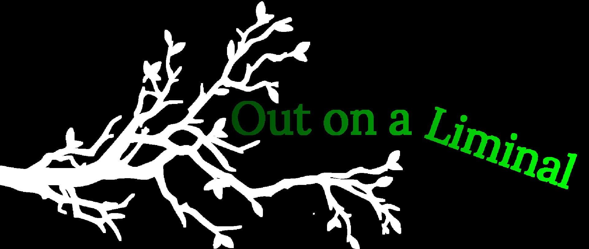 Out on a Liminal cover art
