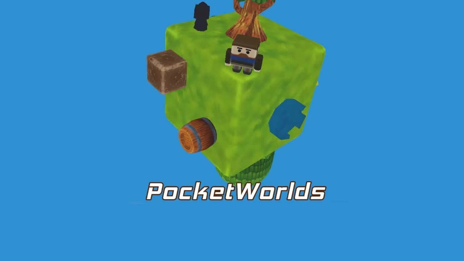 PocketWorlds cover art