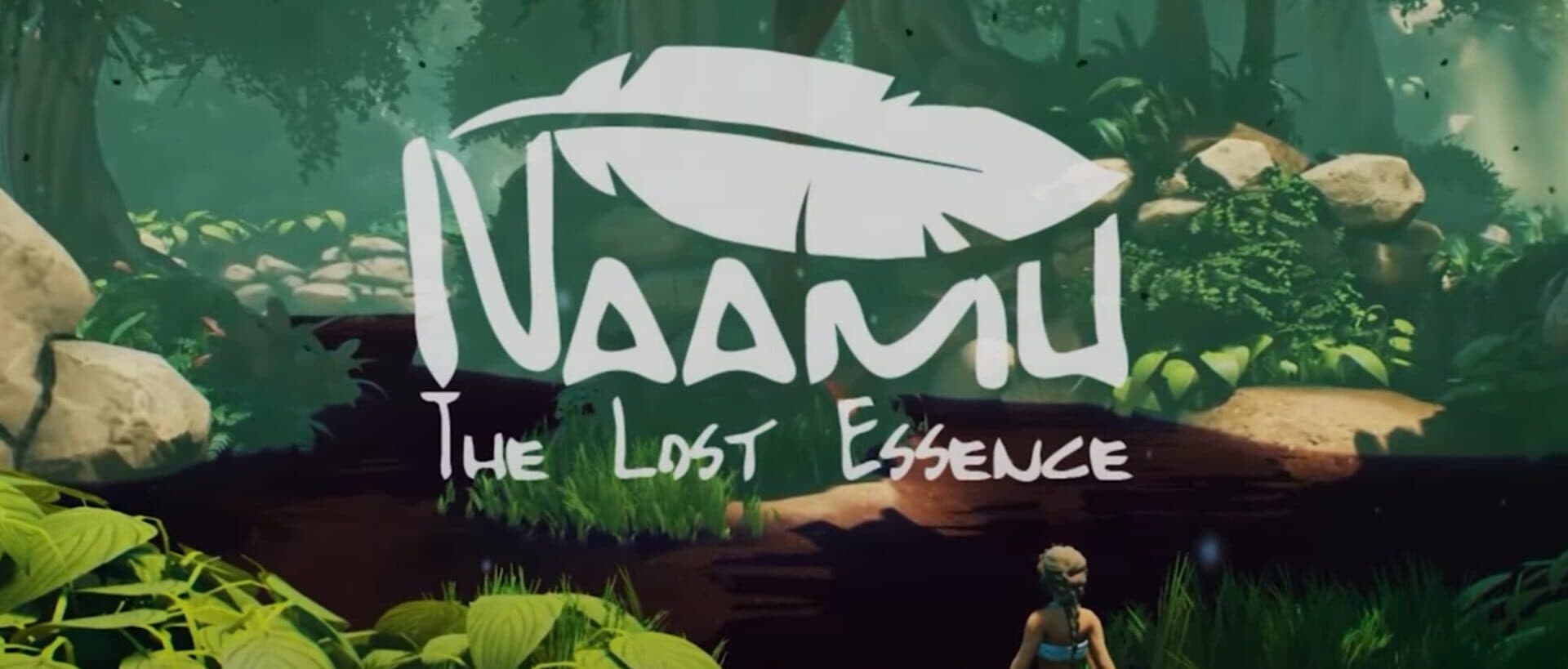 Naamu: The Lost Essence cover art