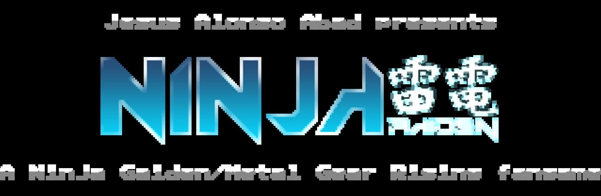 Ninja Raiden cover art