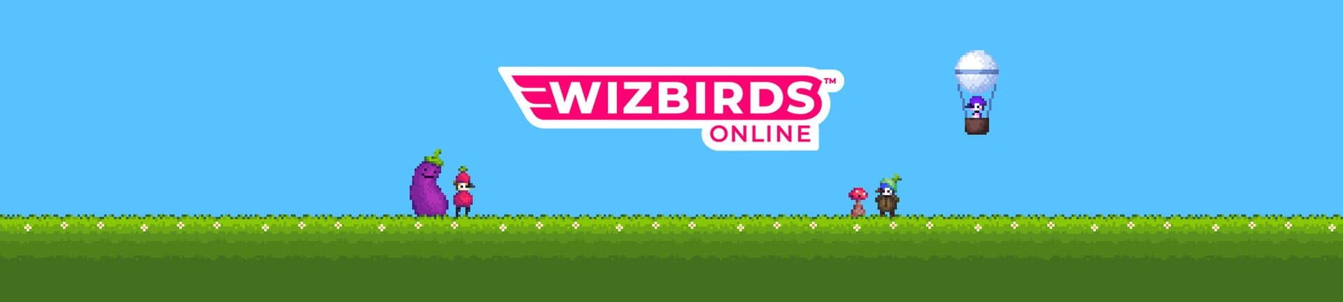 Wizbirds Online cover art