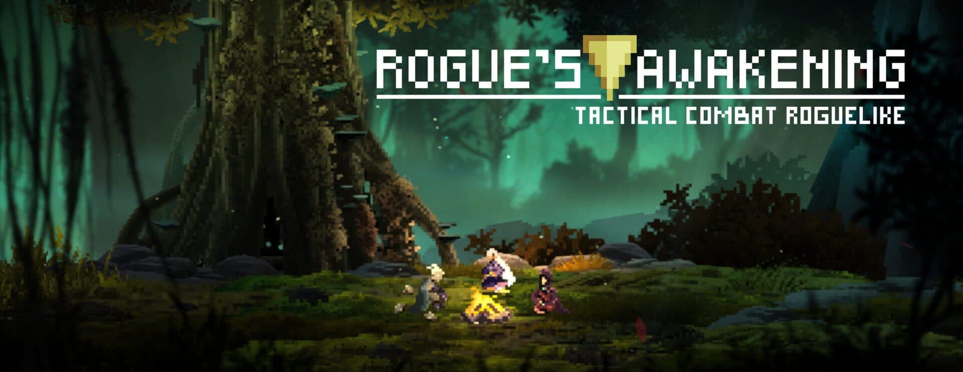 Rogue's Awakening cover art