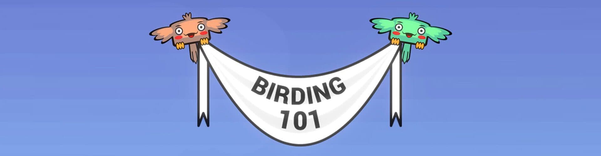 Birding 101 cover art