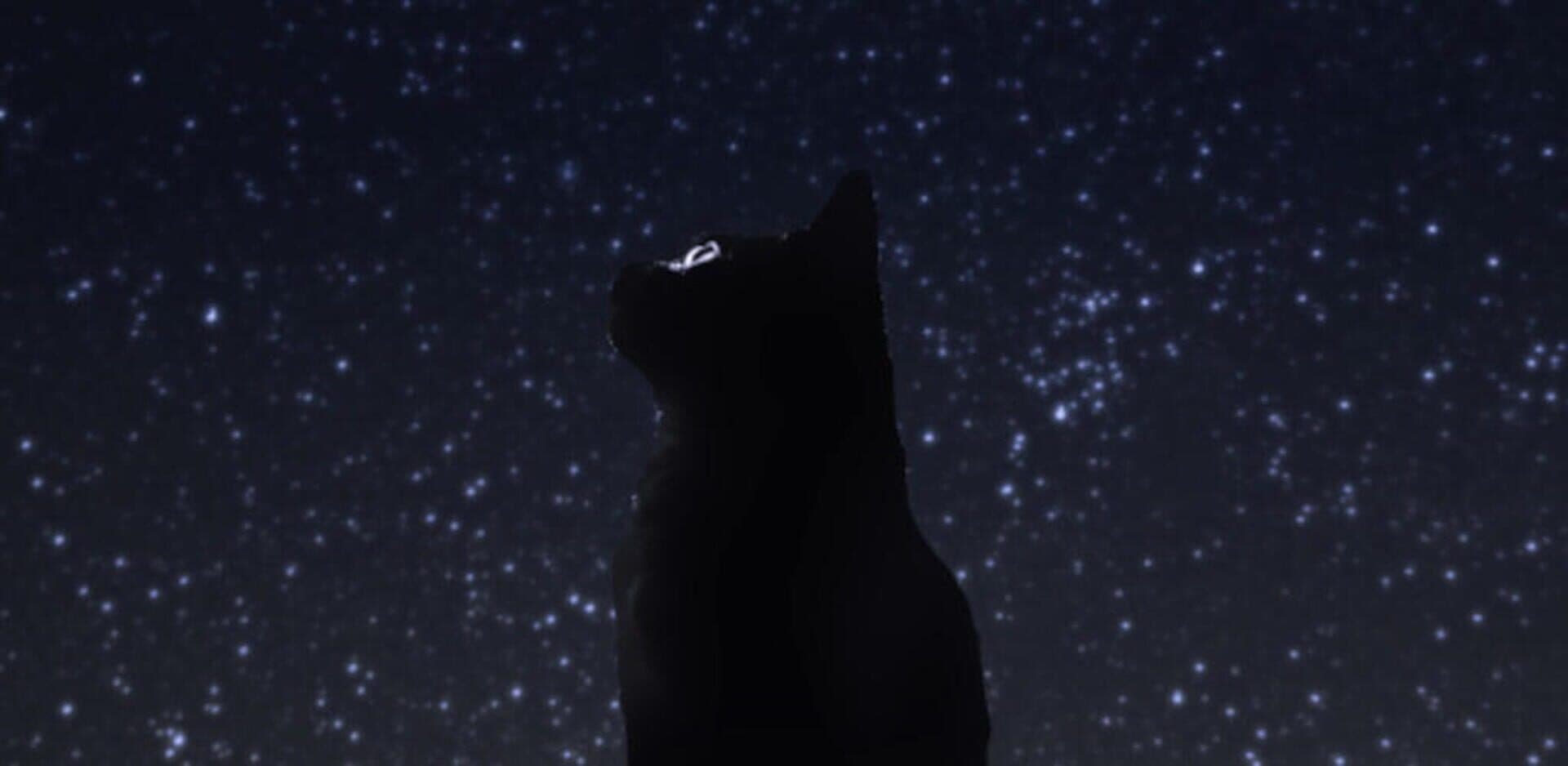 Seize the Night cover art