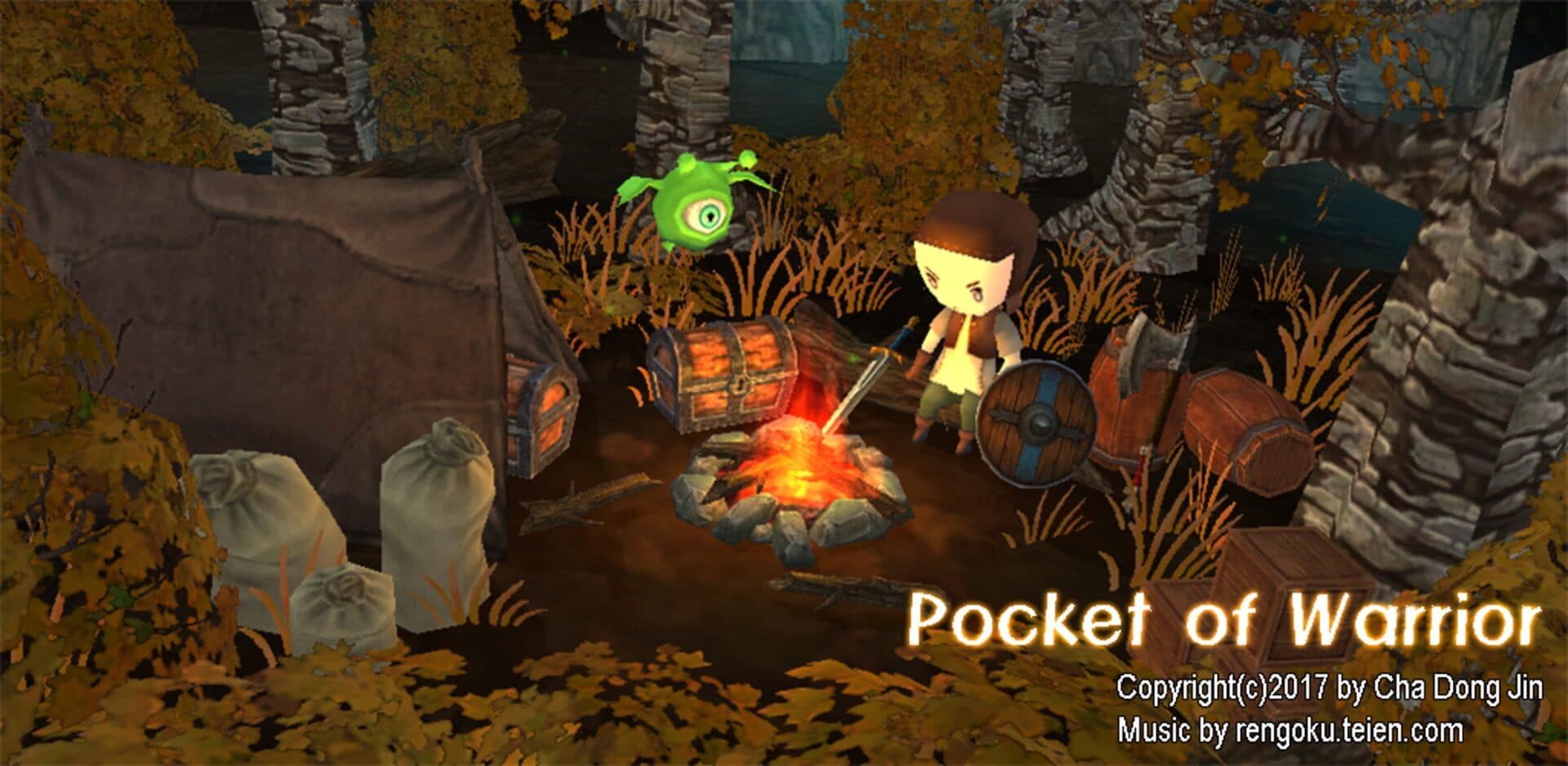 Pocket of warrior cover art