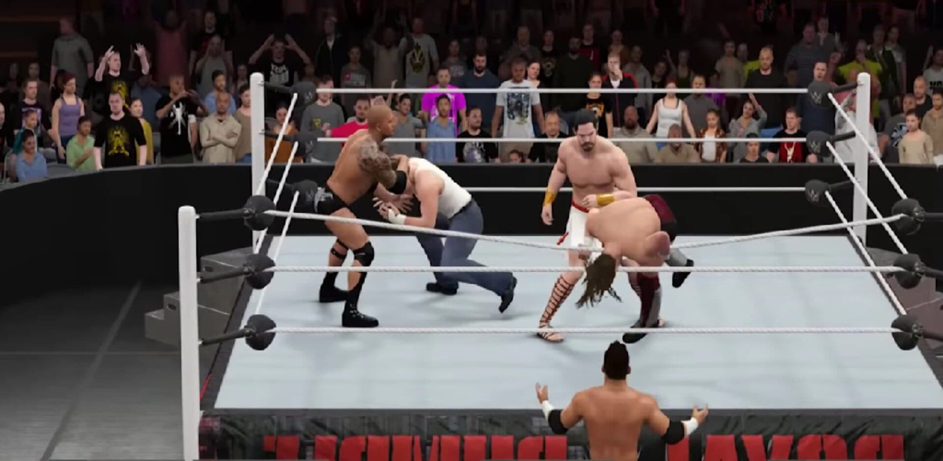 Fight with WWE Champion cover art