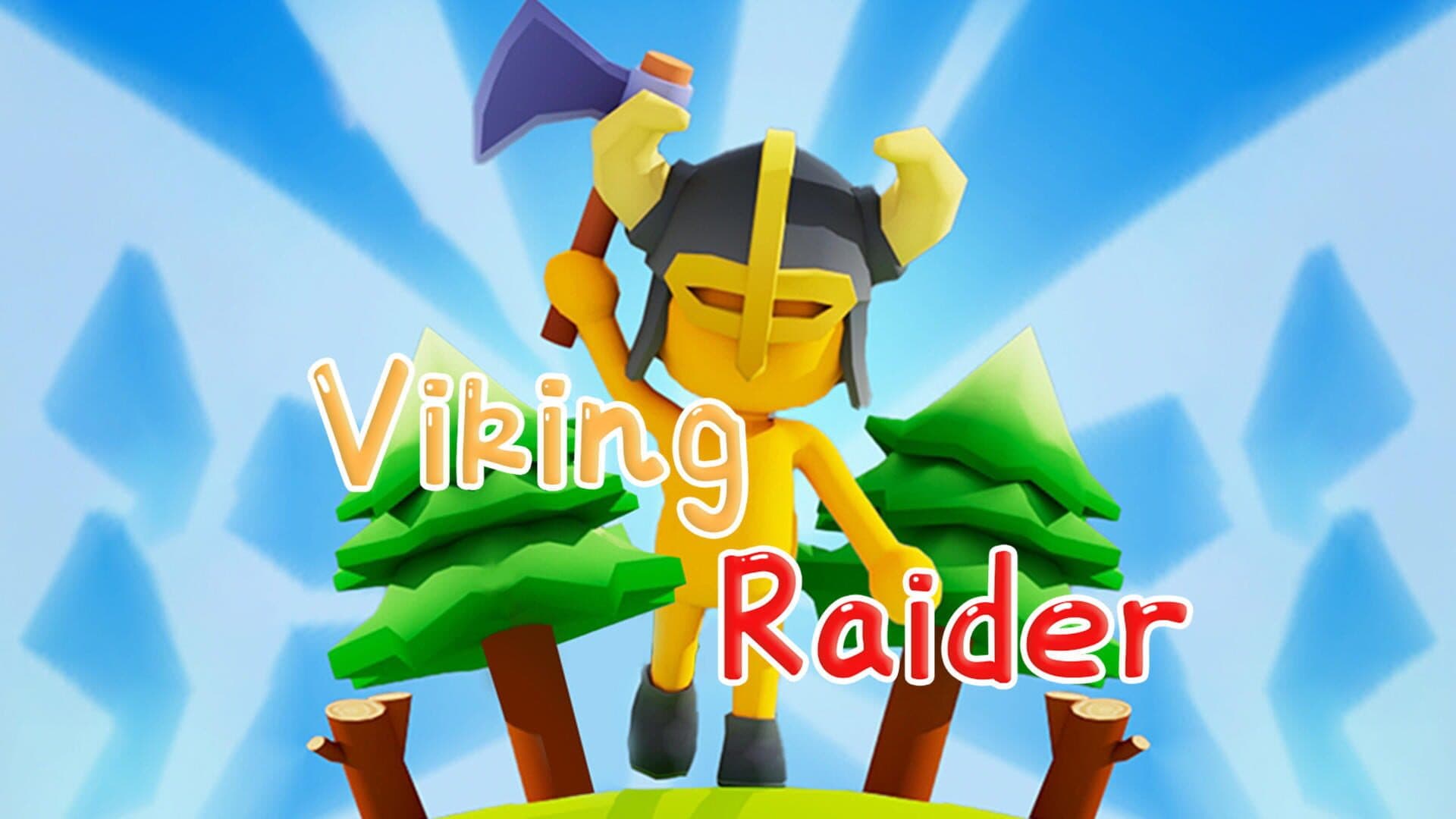 Viking Raider cover art