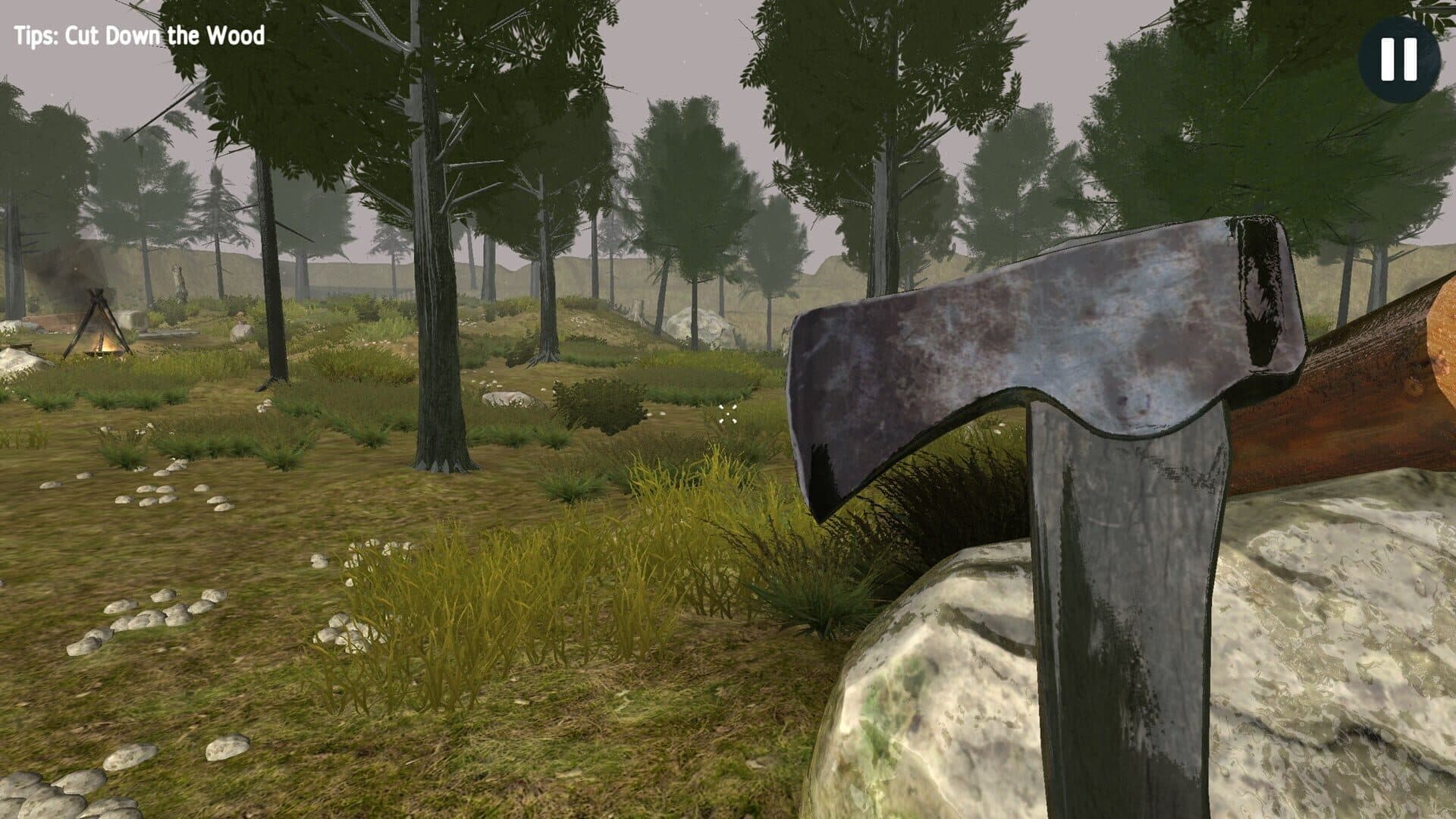 Surviving in the Wood cover art