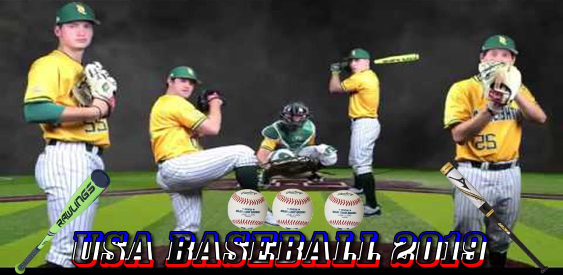 Baseball Champion League 2019 cover art