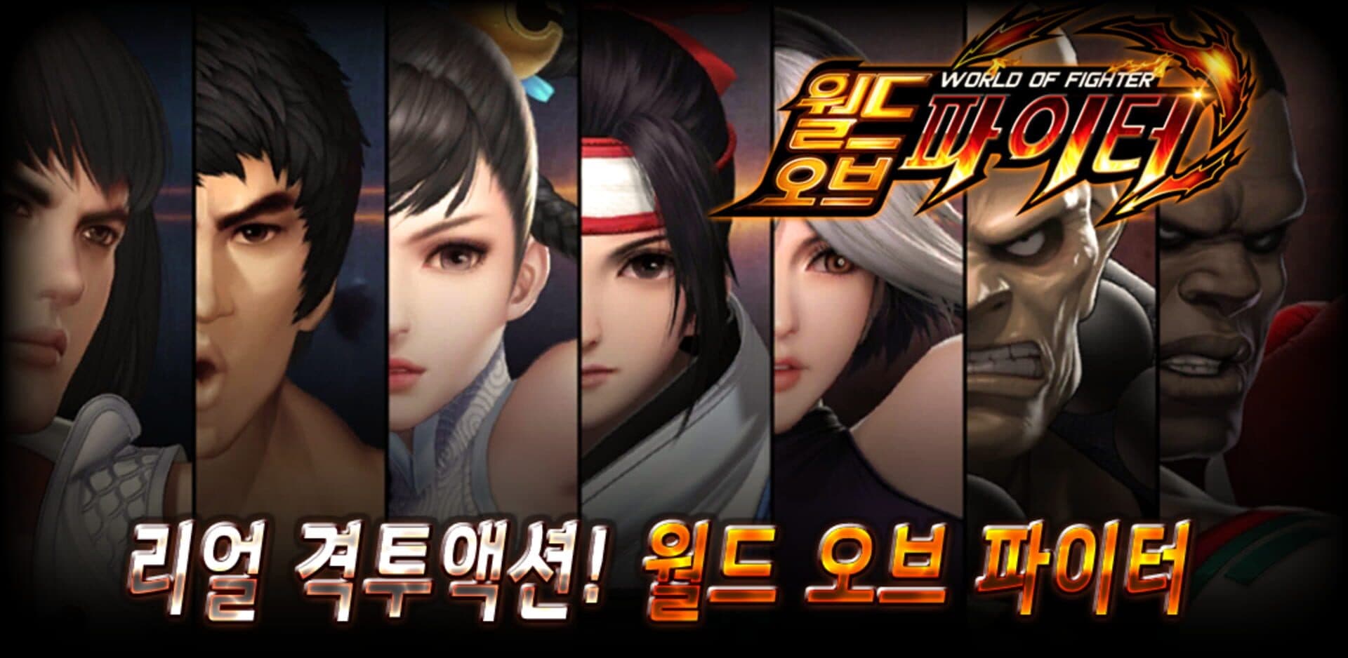 World of Fighter cover art