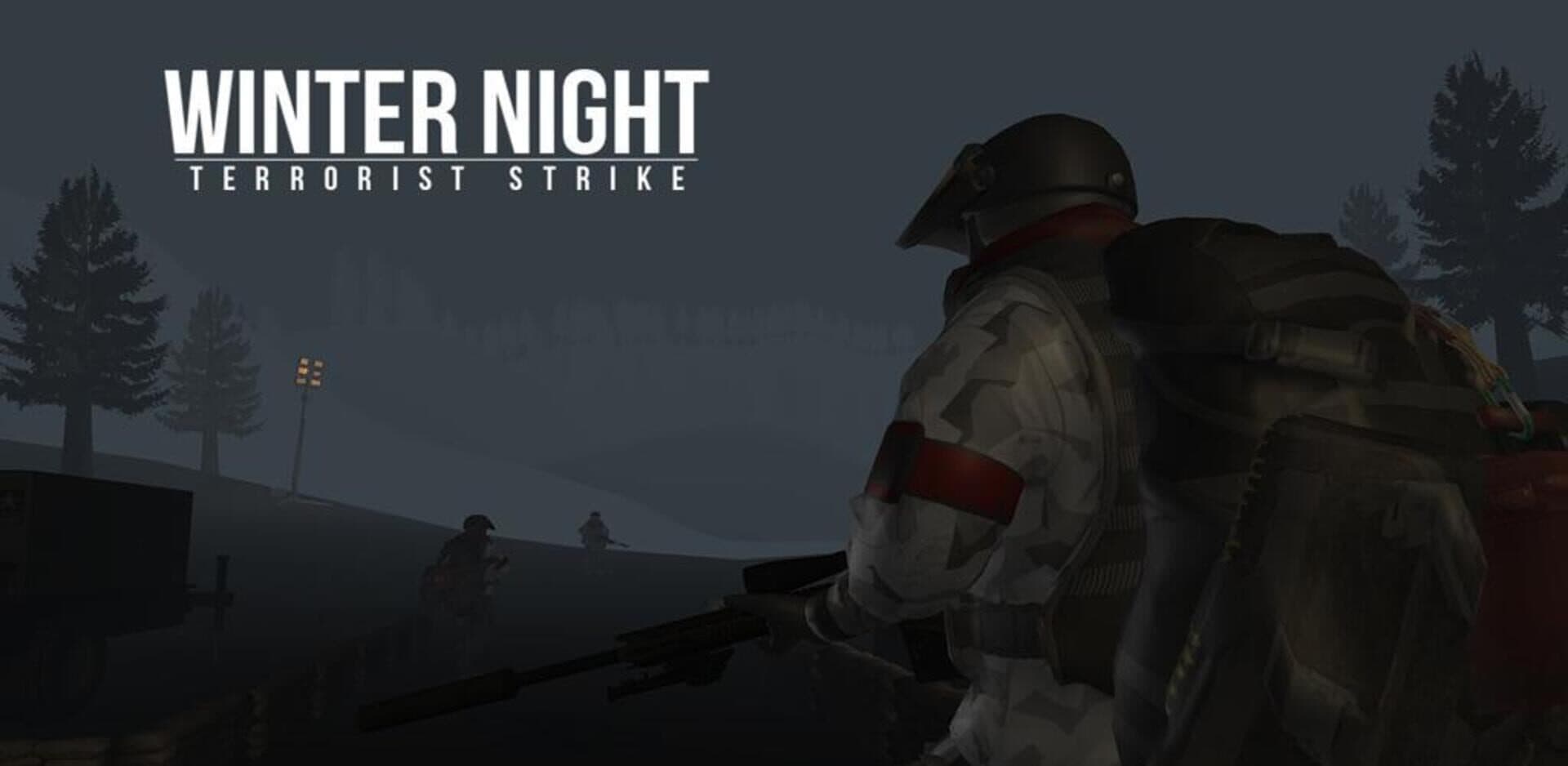 Winter Night: Terrorist Strike cover art