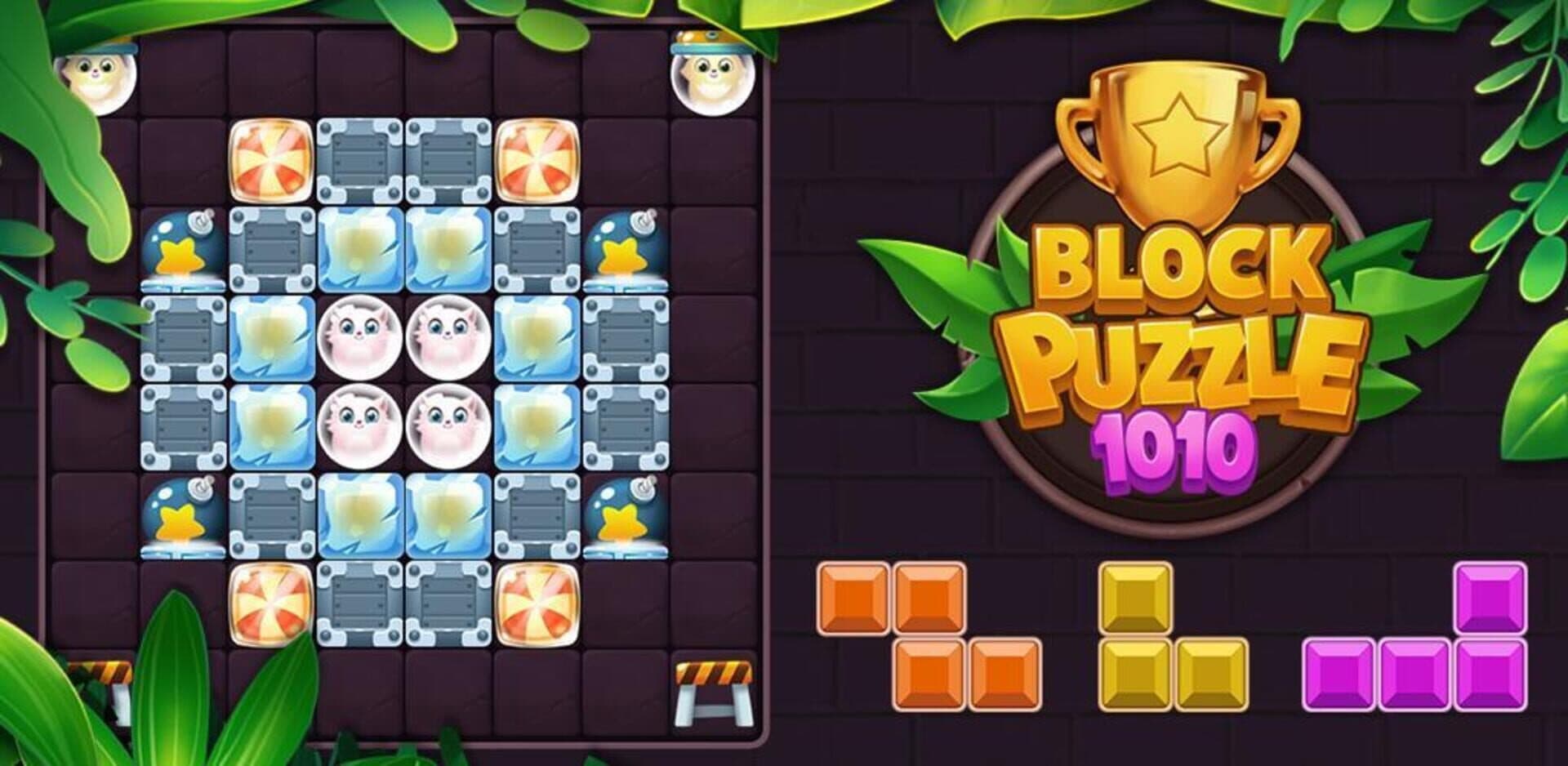 Block Puzzle 1010 cover art